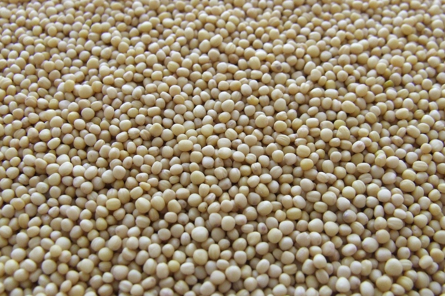 Ventade Harina de Soya Viva Build2